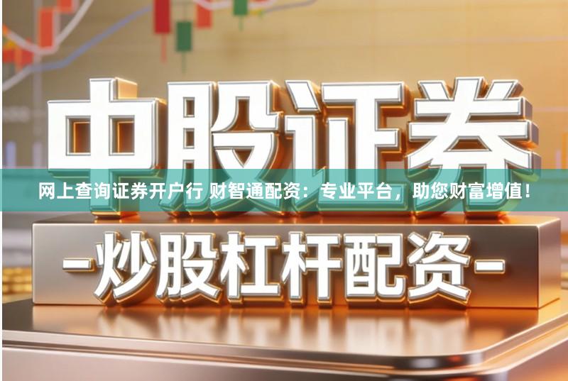 网上查询证券开户行 财智通配资:专业平台,助您财富增值!