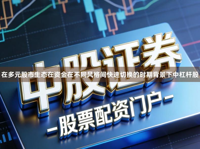 在多元股市生态在资金在不同风格间快速切换的时期背景下中杠杆股