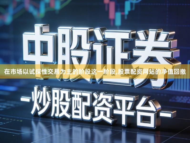 在市场以试探性交易为主的阶段这一阶段,股票配资网站的净值回撤
