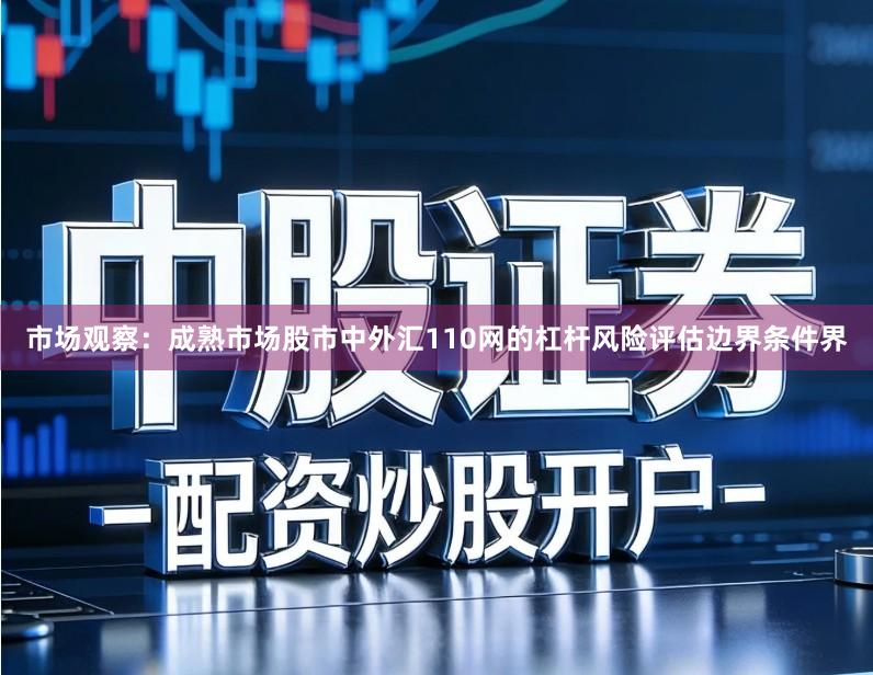 市场观察：成熟市场股市中外汇110网的杠杆风险评估边界条件界
