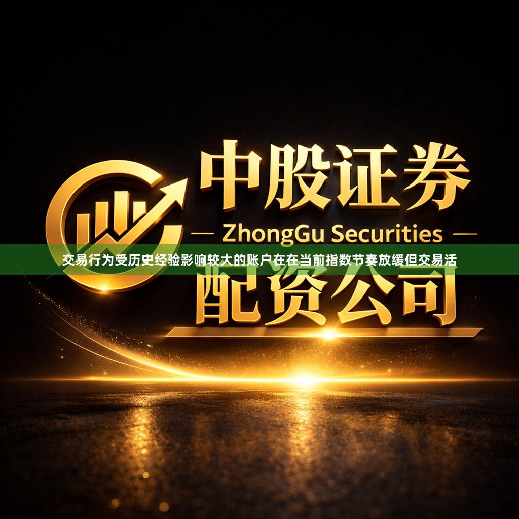 交易行为受历史经验影响较大的账户在在当前指数节奏放缓但交易活