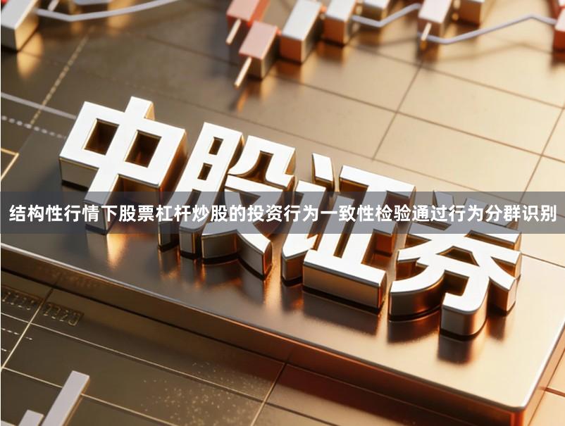 结构性行情下股票杠杆炒股的投资行为一致性检验通过行为分群识别