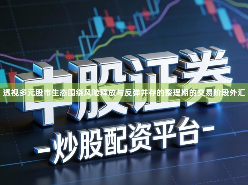 透视多元股市生态围绕风险释放与反弹并存的整理期的交易阶段外汇